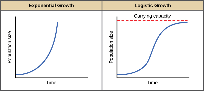 Exp vs Logistics